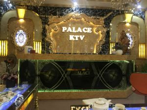 Karaoke Palace 135 Nghi Tam